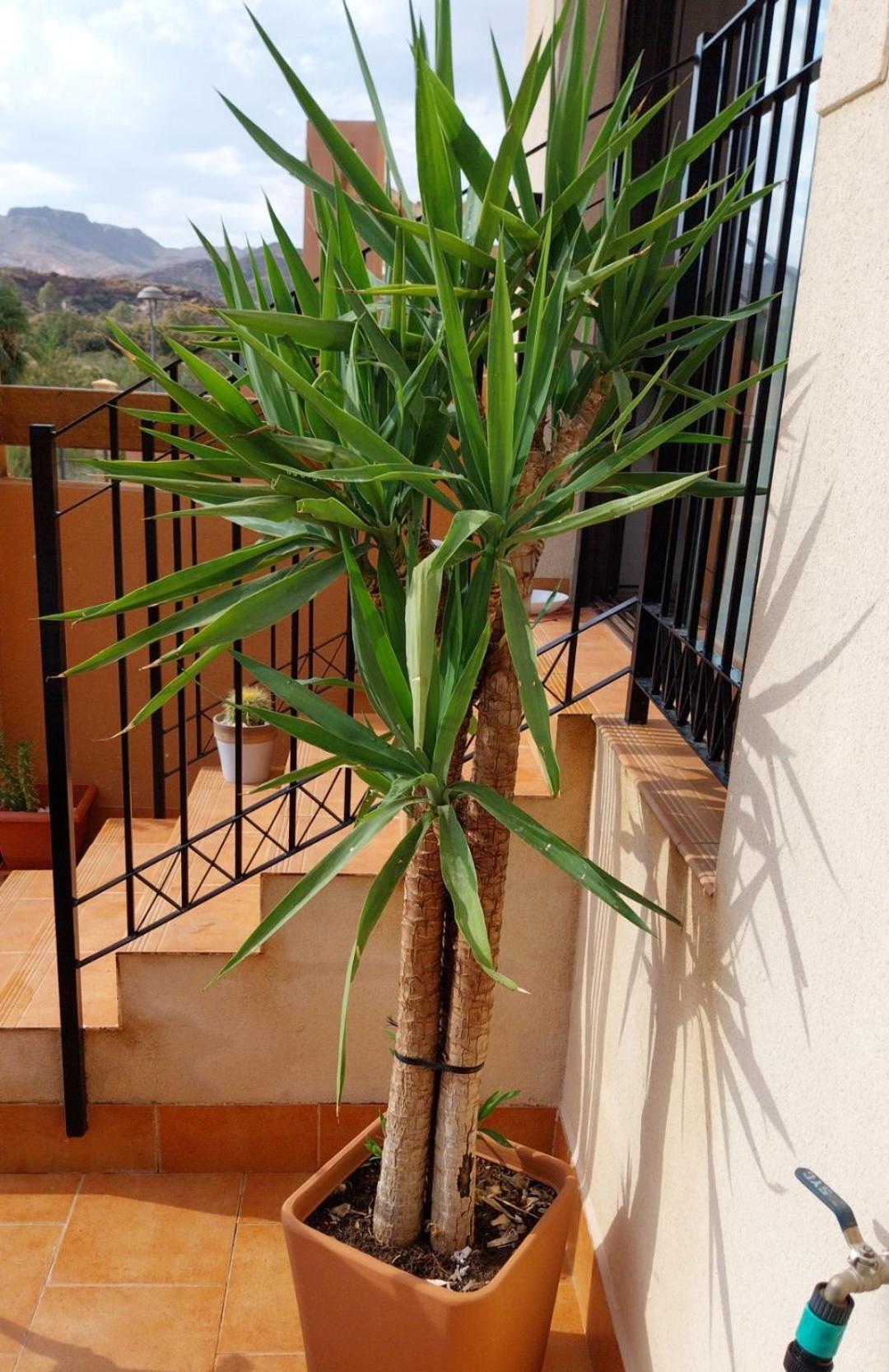 S&H La Malcriada San Juan de los Terreros 外观 照片